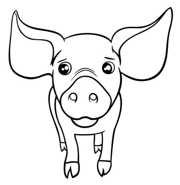 Dibujos de Adorable Cerdo para colorear