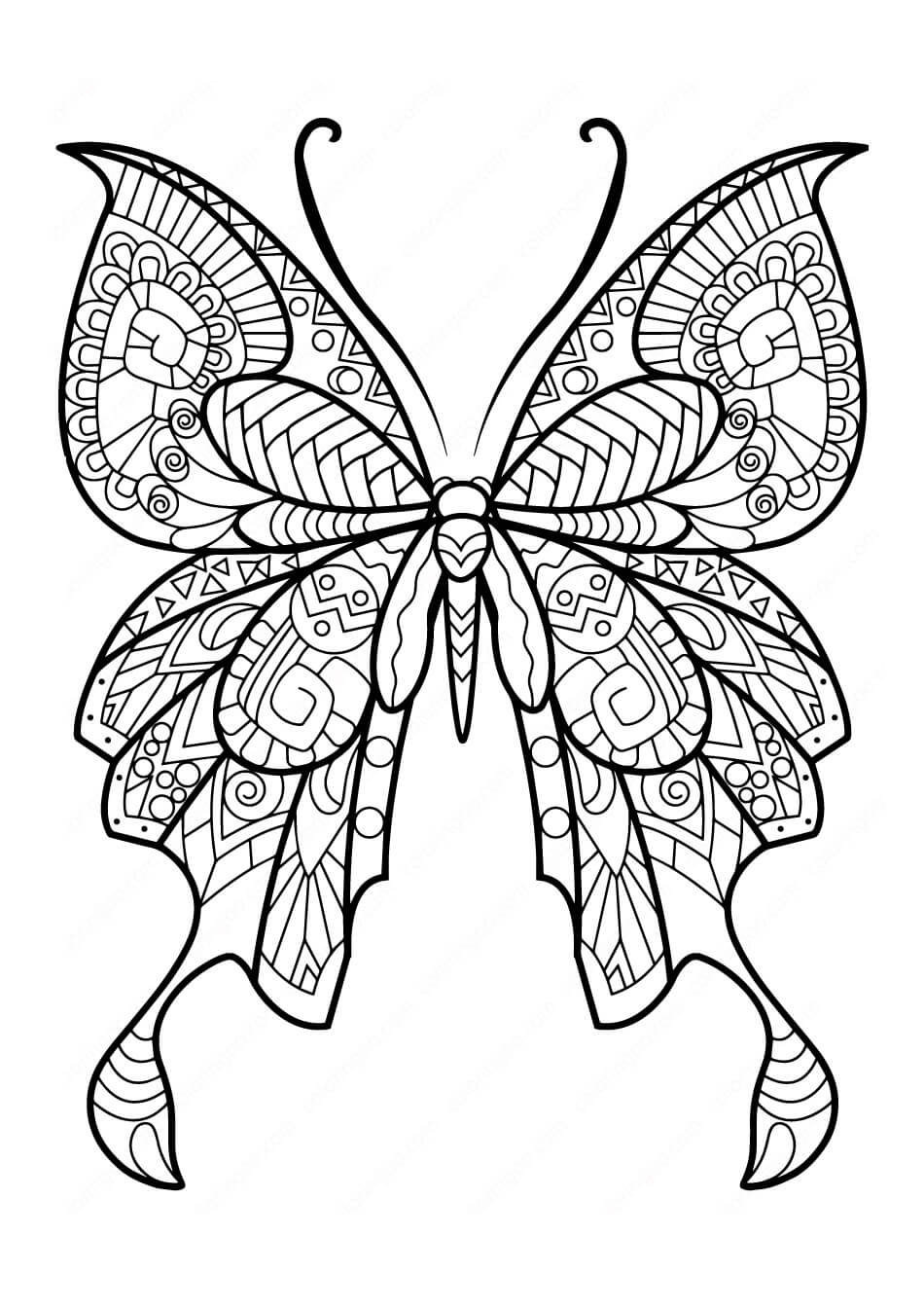 Adorable Mariposa para colorir
