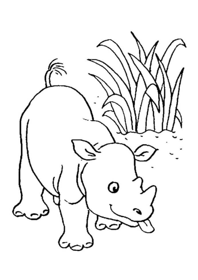 Dibujos de Adorable Rinoceronte para colorear