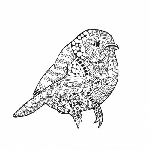 Dibujos de Alivio del Estrés de las Aves para colorear