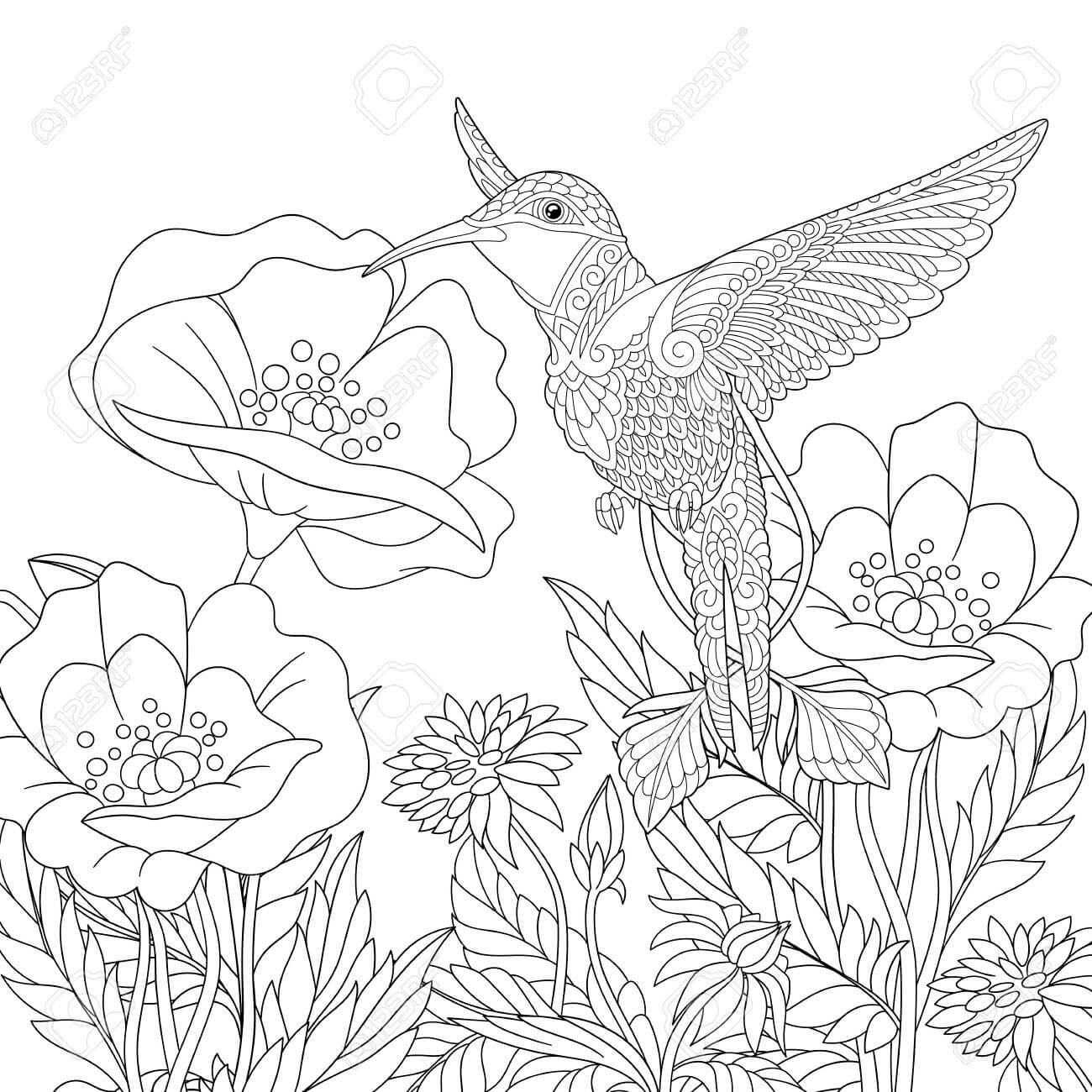 Amapola y Pájaro para colorir