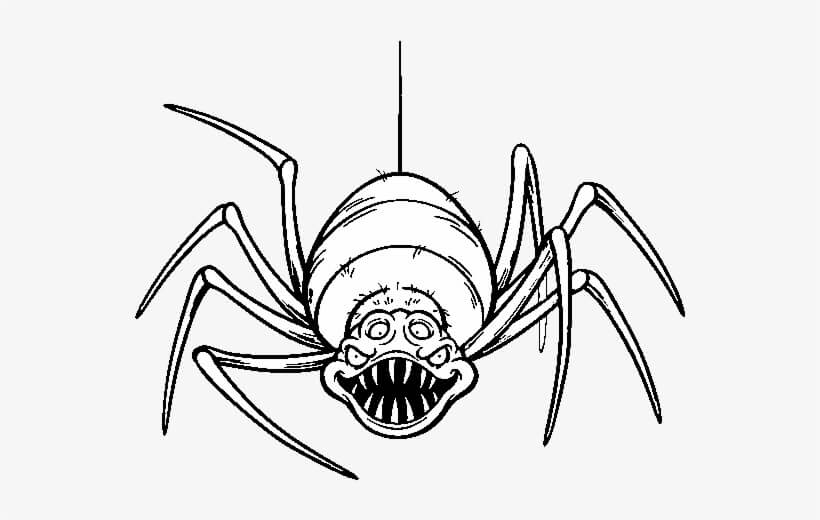 Araña de Cuatro ojos Aterradora para colorir