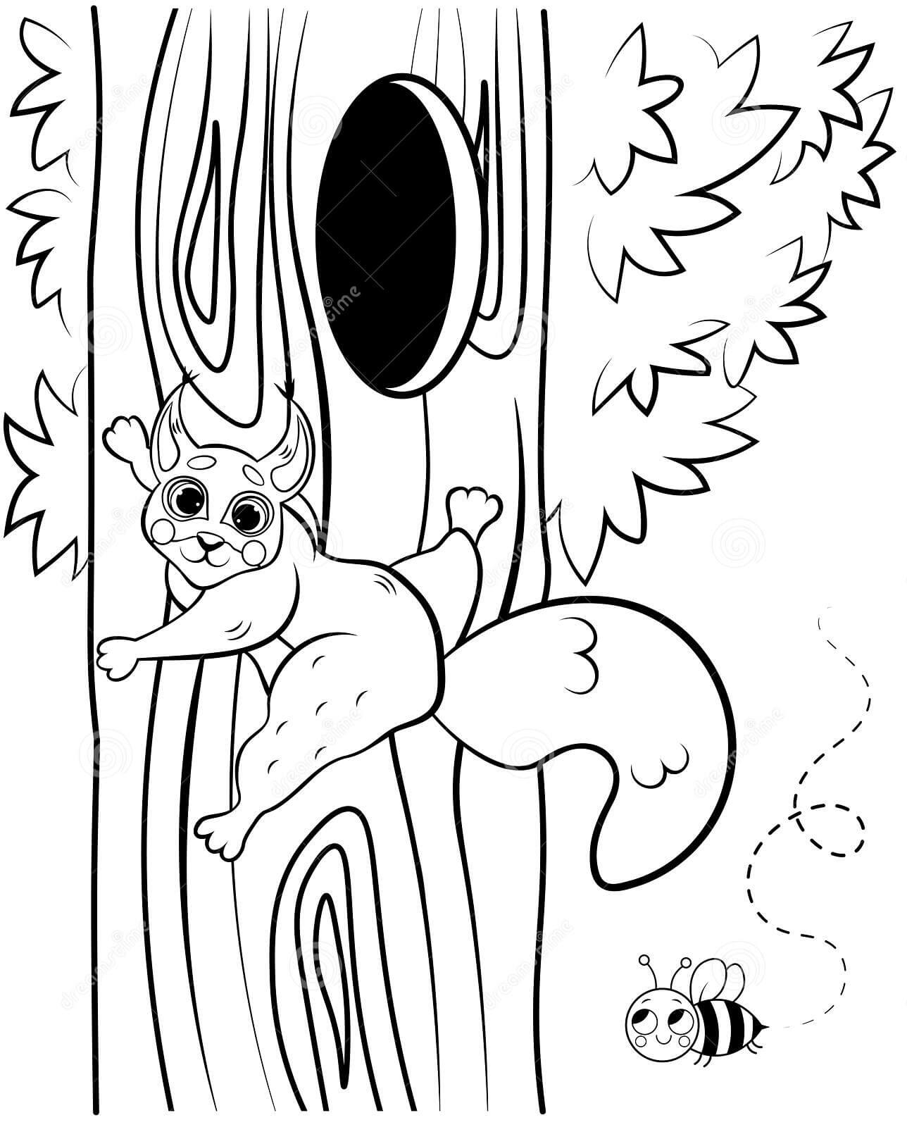 Dibujos de Ardilla Trepando a un árbol Cerca del Hueco para colorear