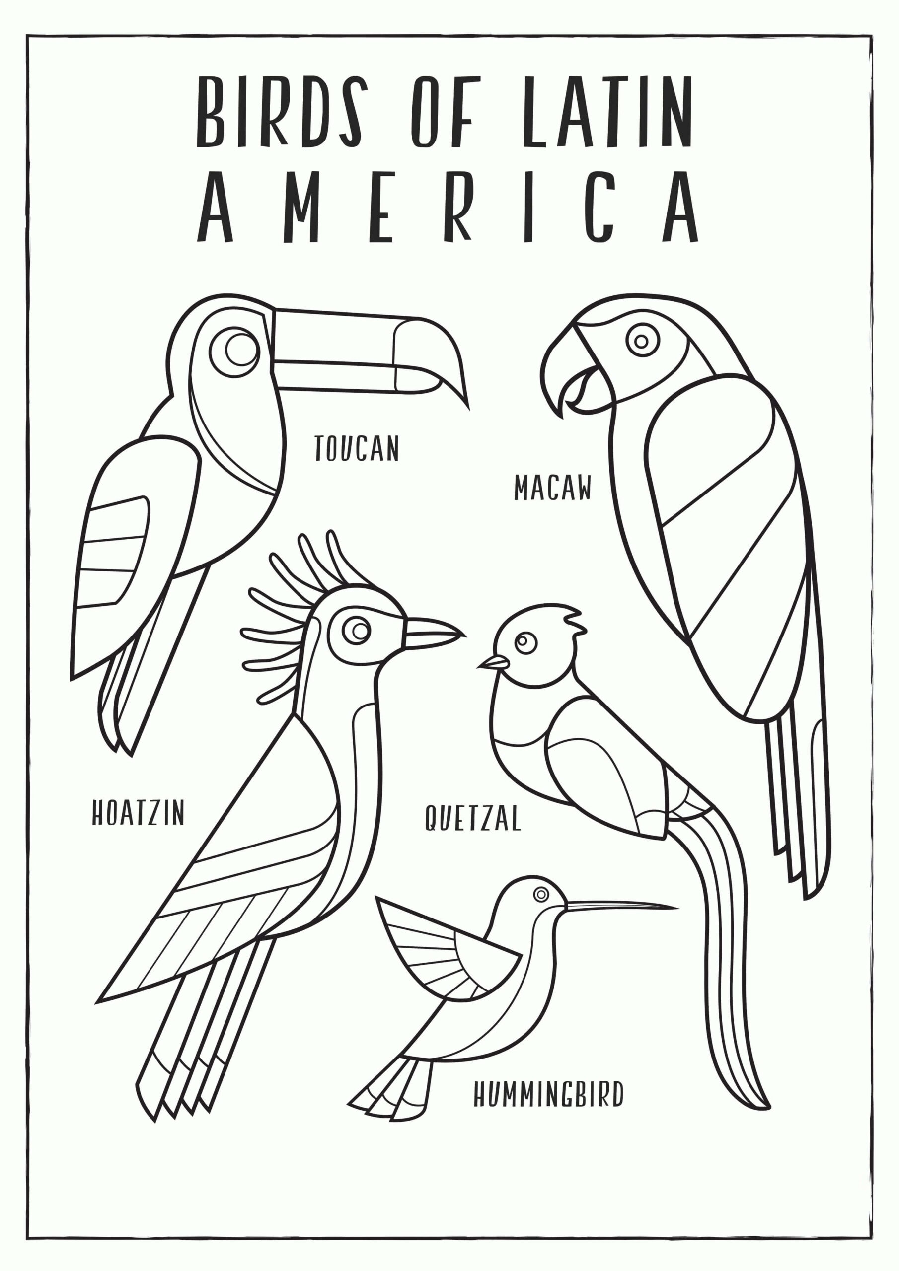 Aves de Latinoamerica para colorir