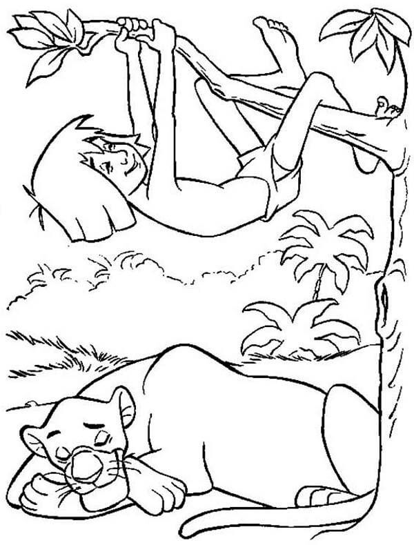Bagheera Durmiendo y Escalada Mowgli para colorir