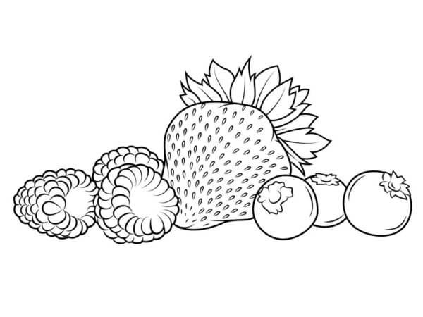 Dibujos de Baya De Tres Frutas para colorear