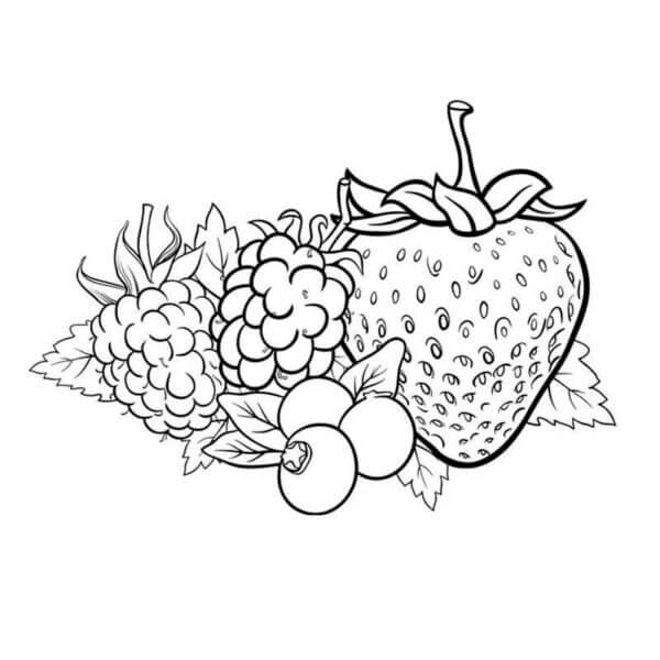 Dibujos de Bayas Con Frutas para colorear
