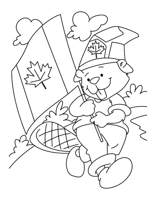 Beaver Boyscout en el día de Canadá para colorir