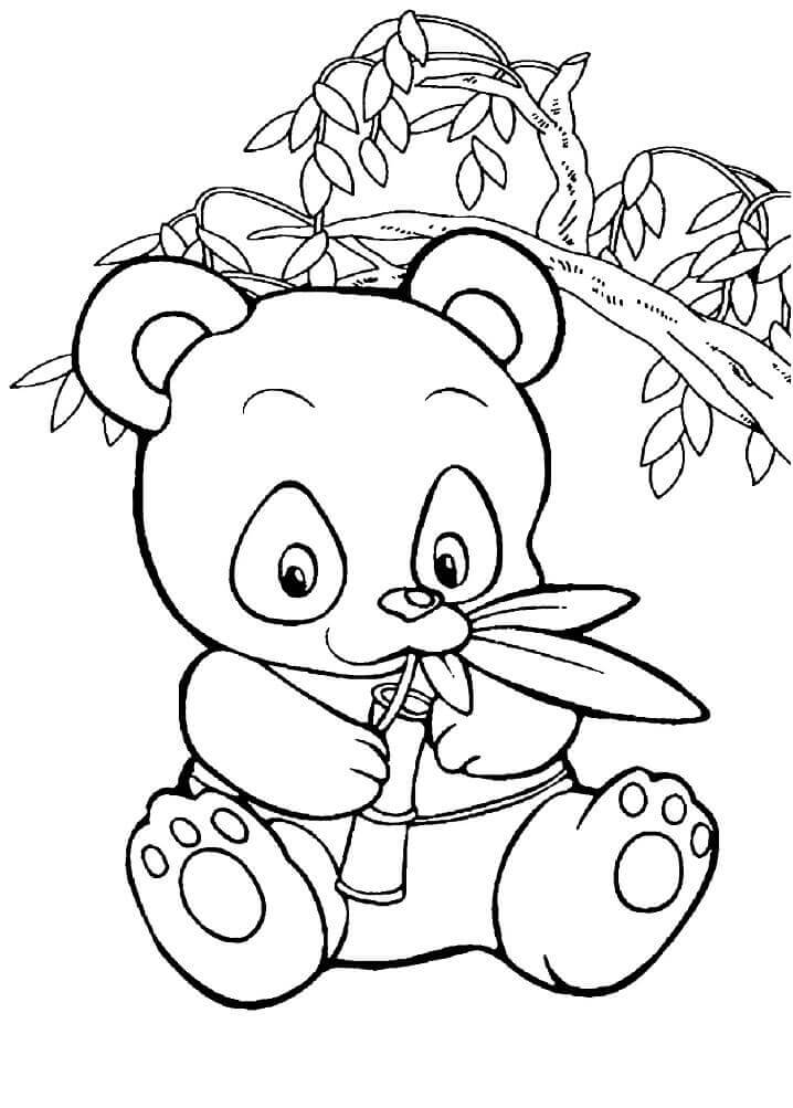 Dibujos de Bebé Panda Comiendo Bambú para colorear
