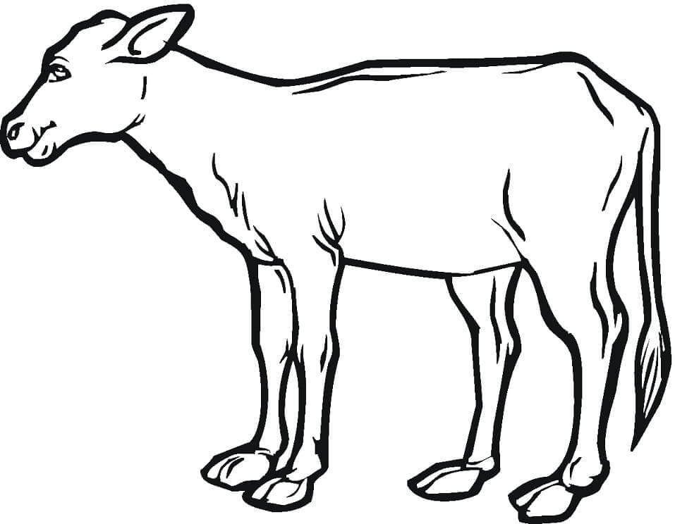 Dibujos de Becerro de Vaca para colorear