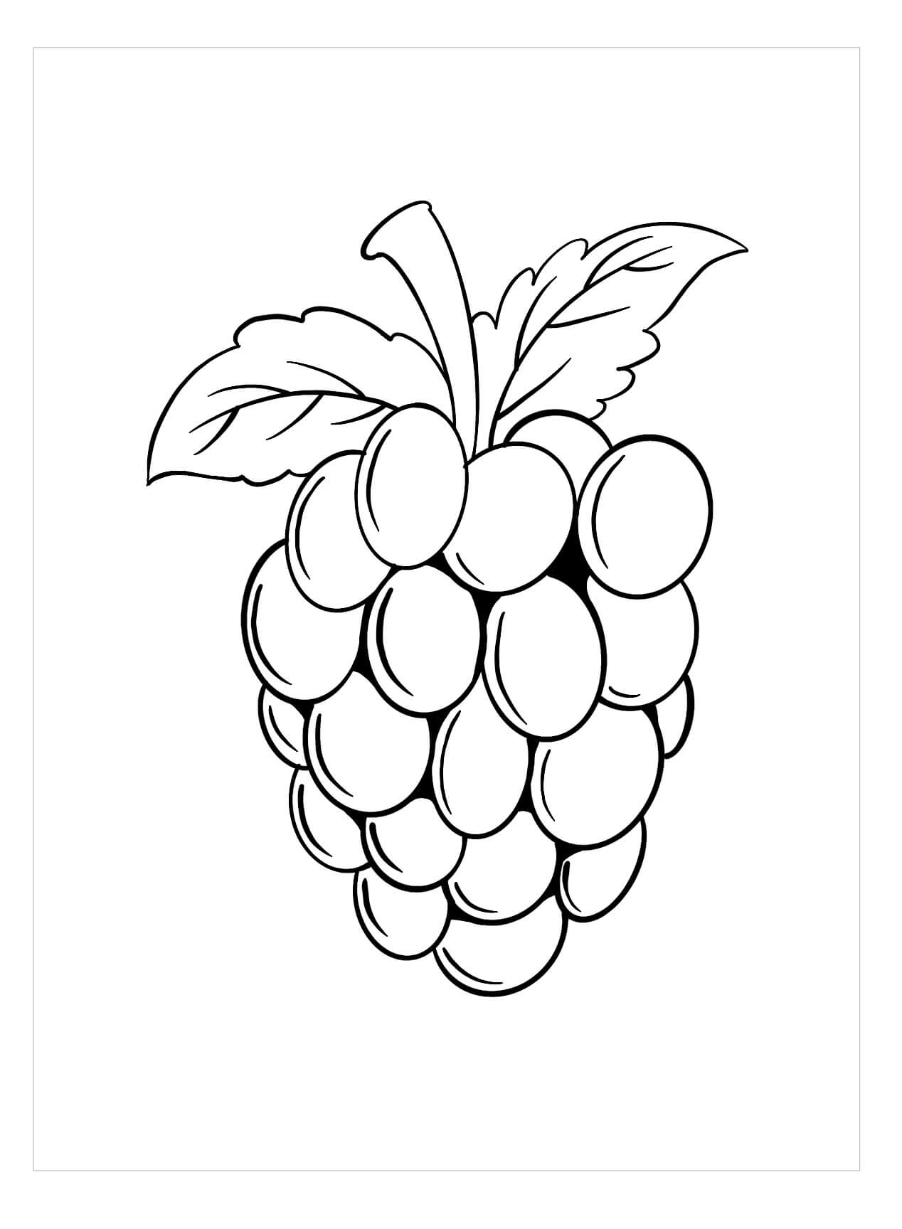 Dibujos de Blackberry Simple para colorear