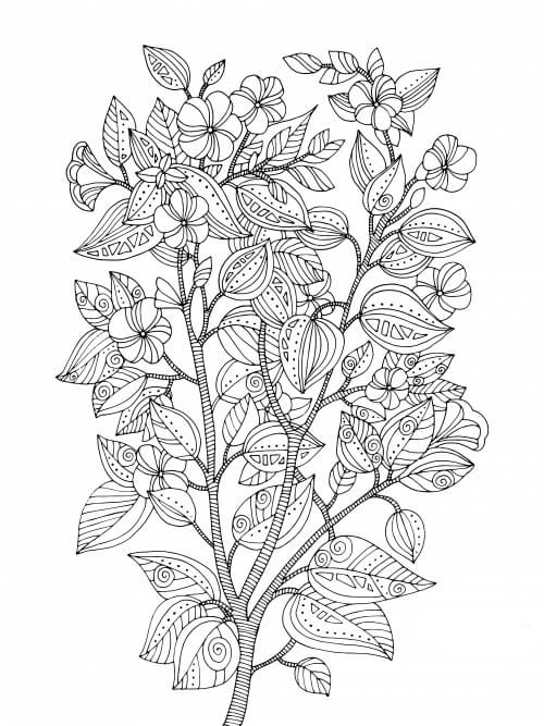 Dibujos de Bonita Flor de Cerezo para colorear