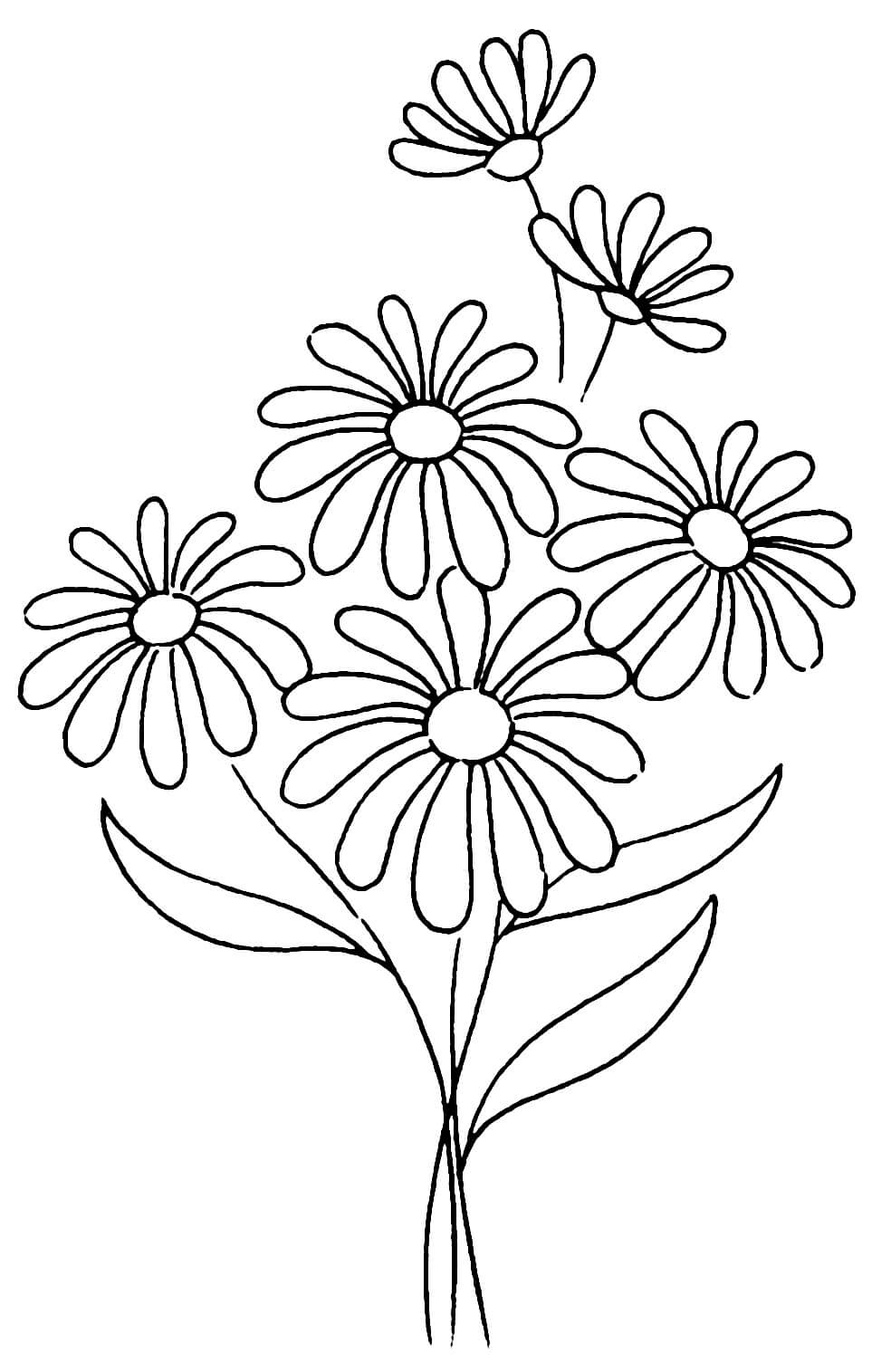 Dibujos de Bonita Flor de Margarita para colorear