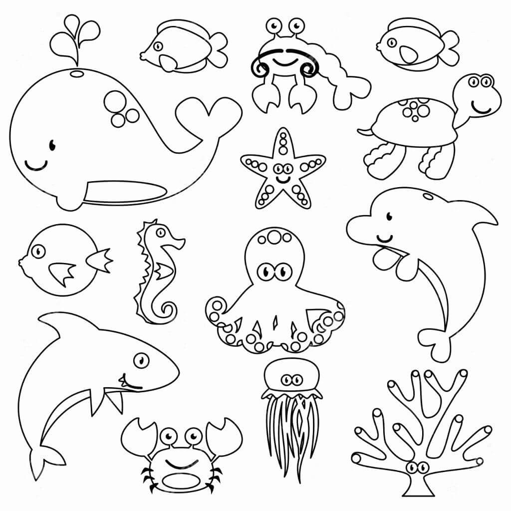 Dibujos de Bonito Animal Marino para colorear