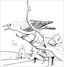 Dibujos de Bonito Cuervo para colorear