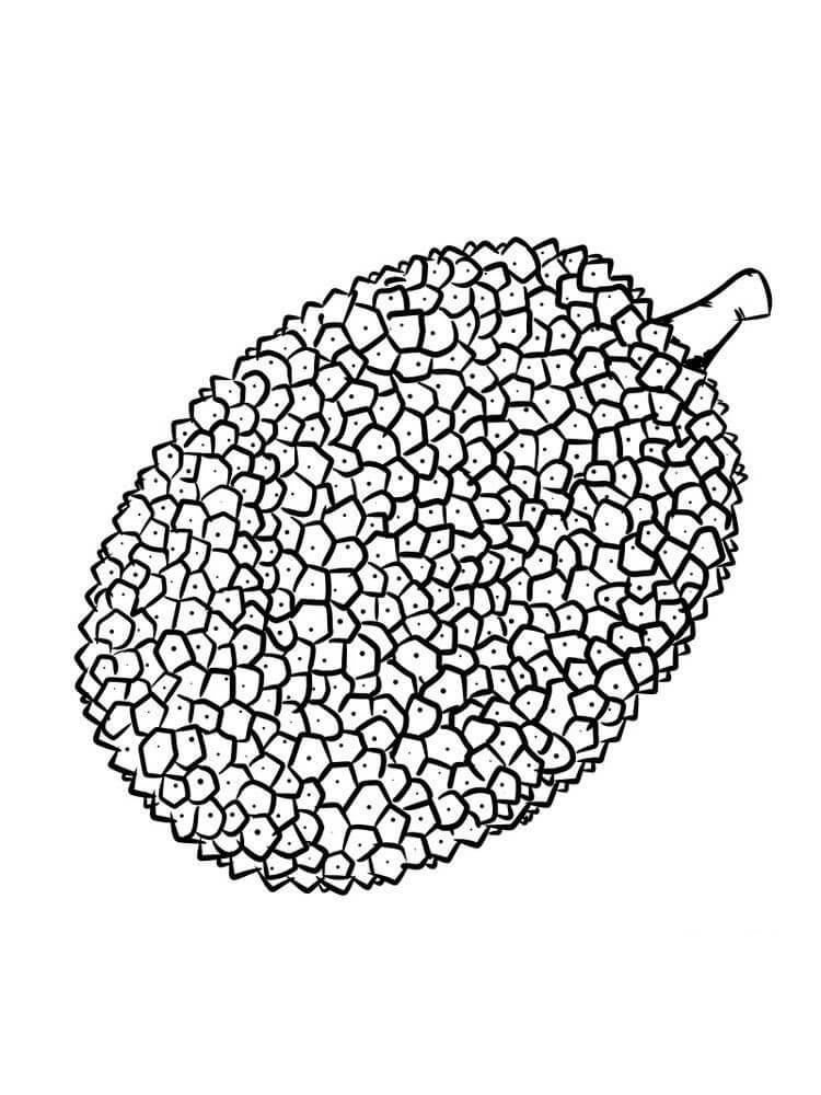 Dibujos de Bonito Durian para colorear