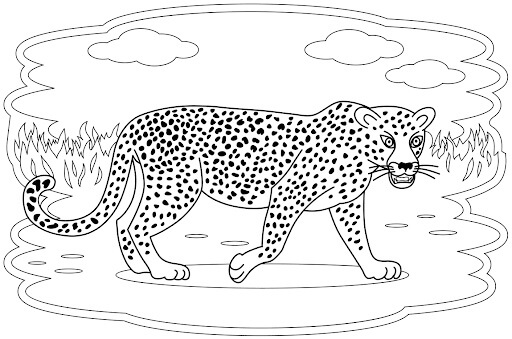 Dibujos de Bonito Leopardo para colorear