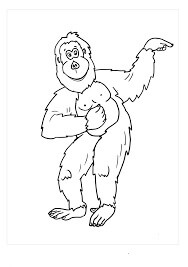 Dibujos de Bonito Orangután para colorear