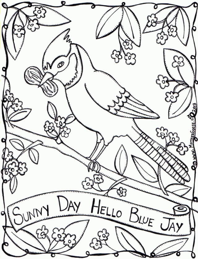 Dibujos de Bonito Pájaro Jay para colorear