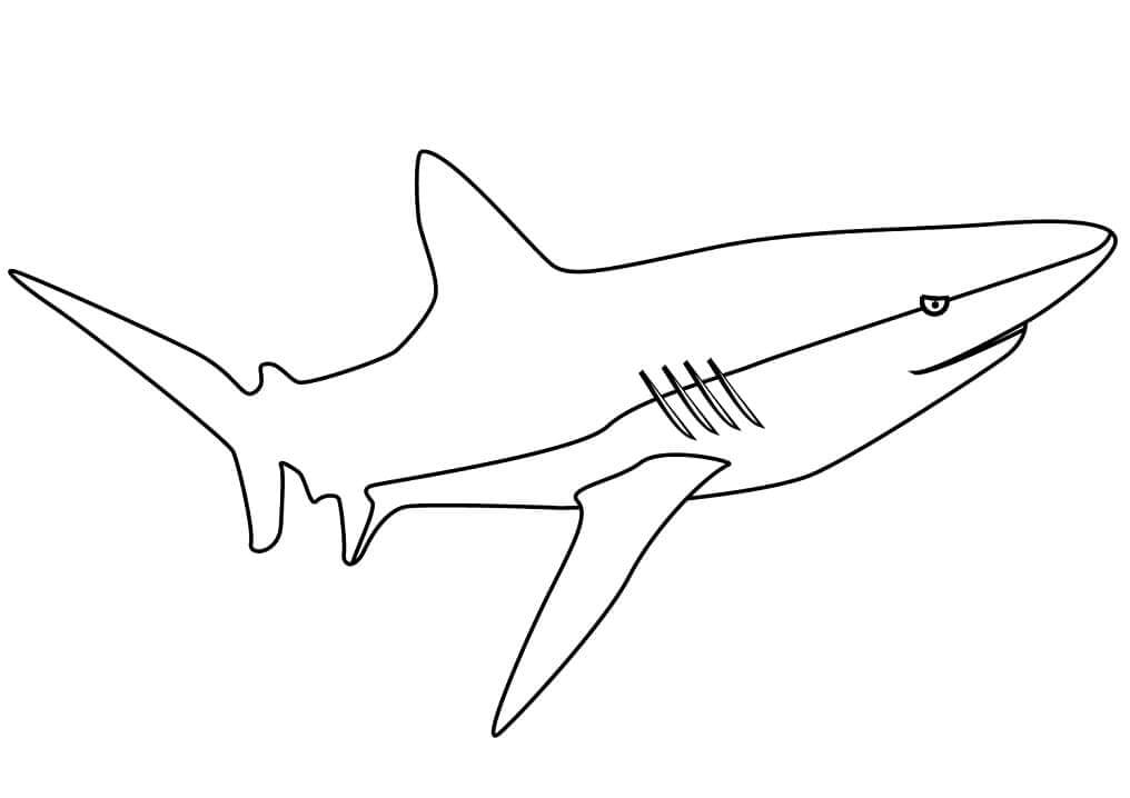 Bonito Tiburón para colorir