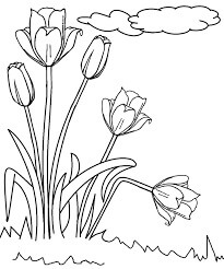 Bonito Tulipán para colorir