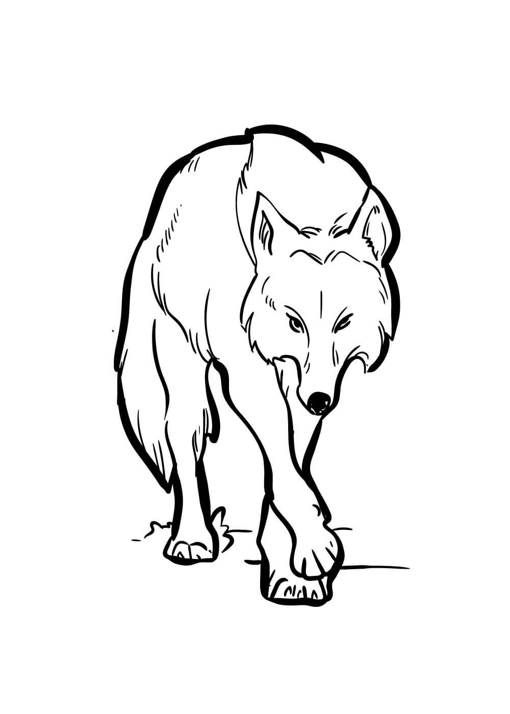 Dibujos de Bonito lobo Caminando para colorear