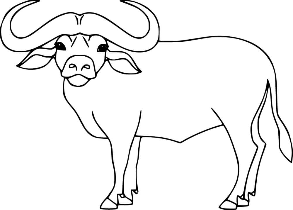 Dibujos de Búfalo Adorable para colorear