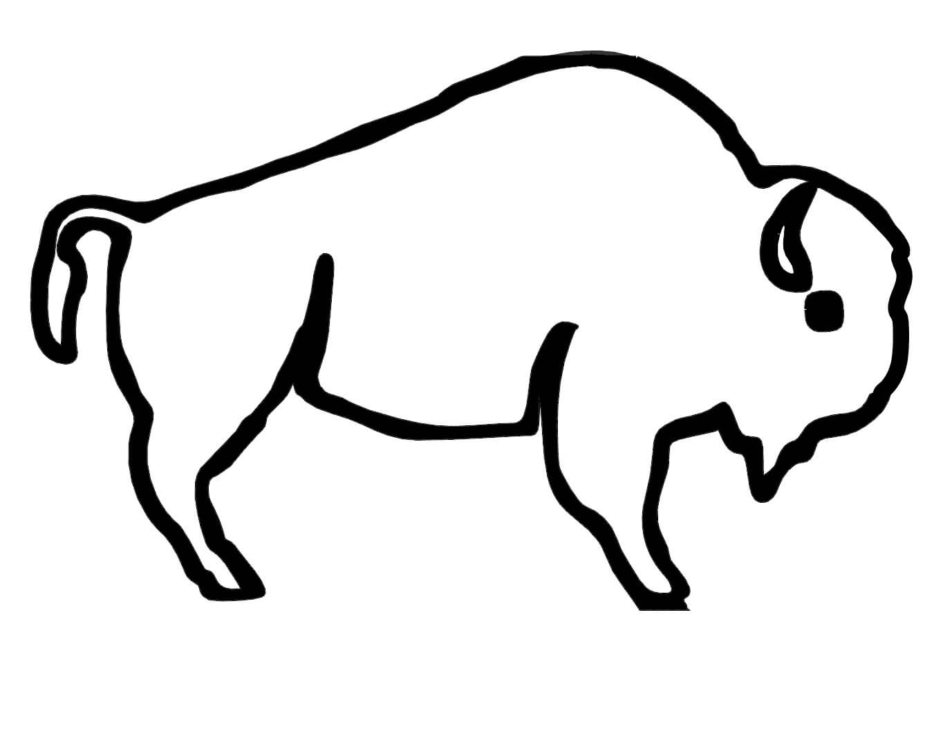 Dibujos de Búfalo Americano Fácil para colorear
