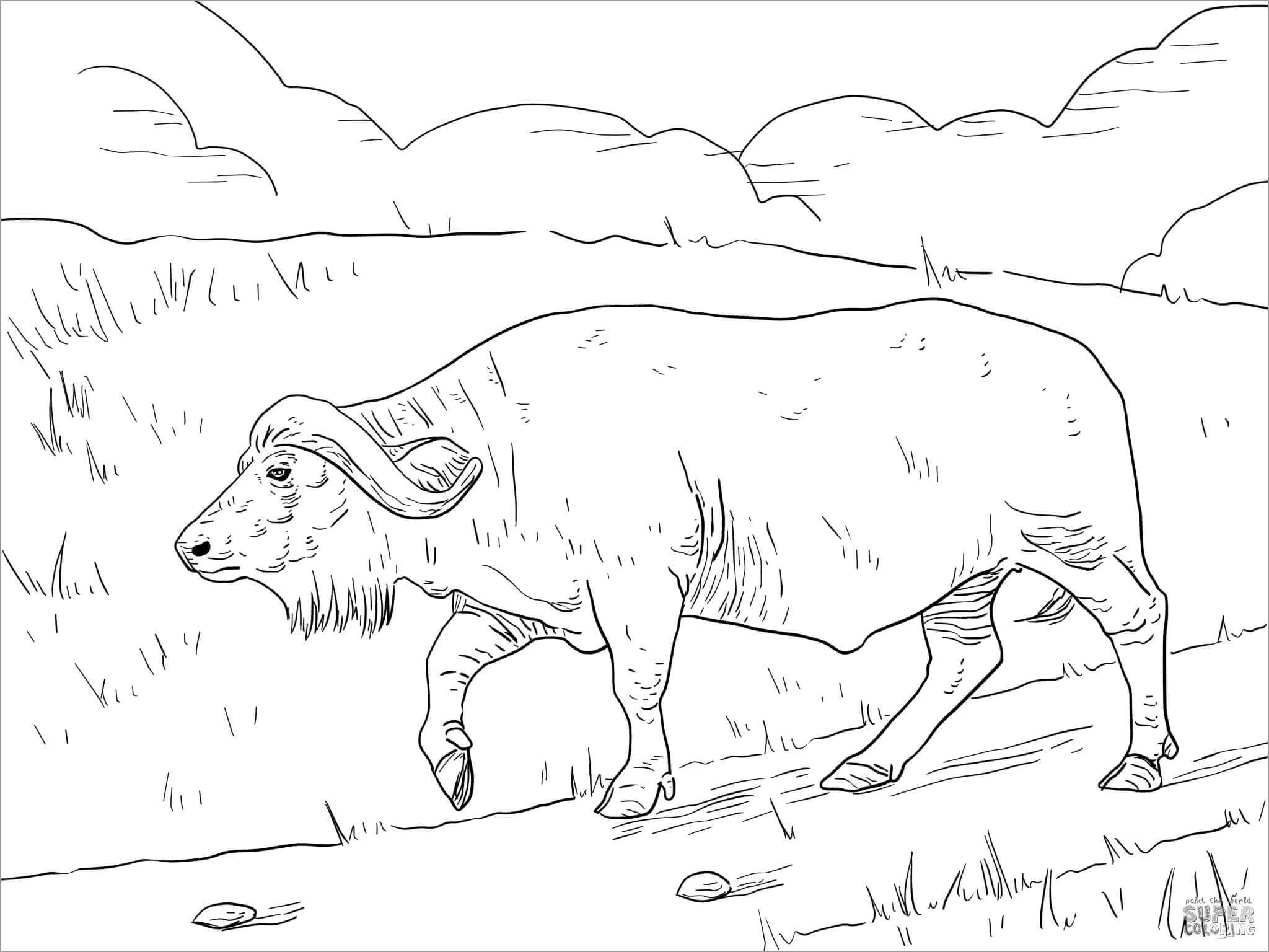 Búfalo Caminando para colorir