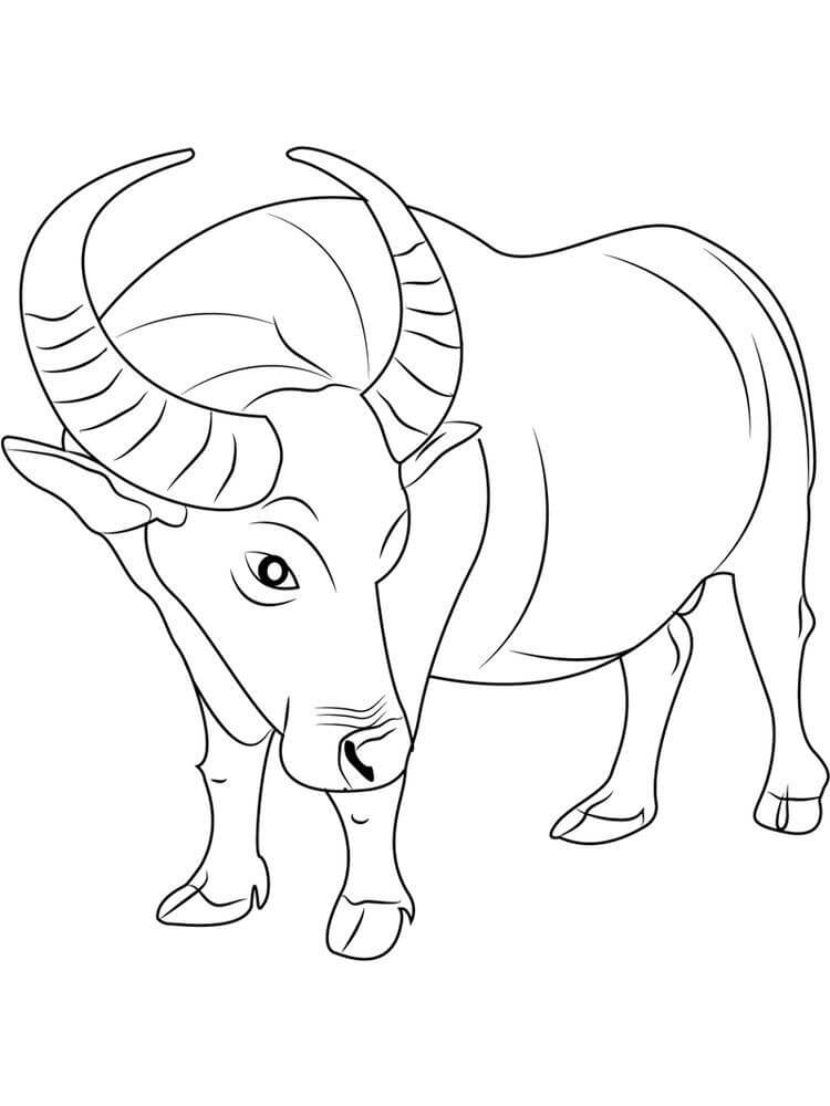Dibujos de Búfalo Normal para colorear