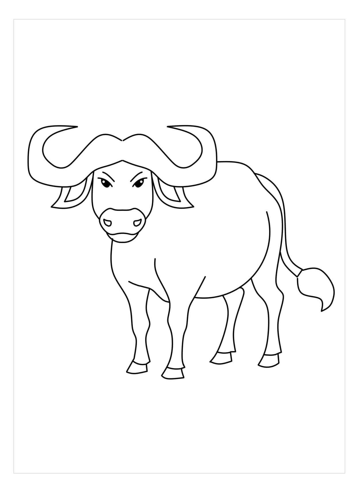 Dibujos de Búfalo Perfecto para colorear