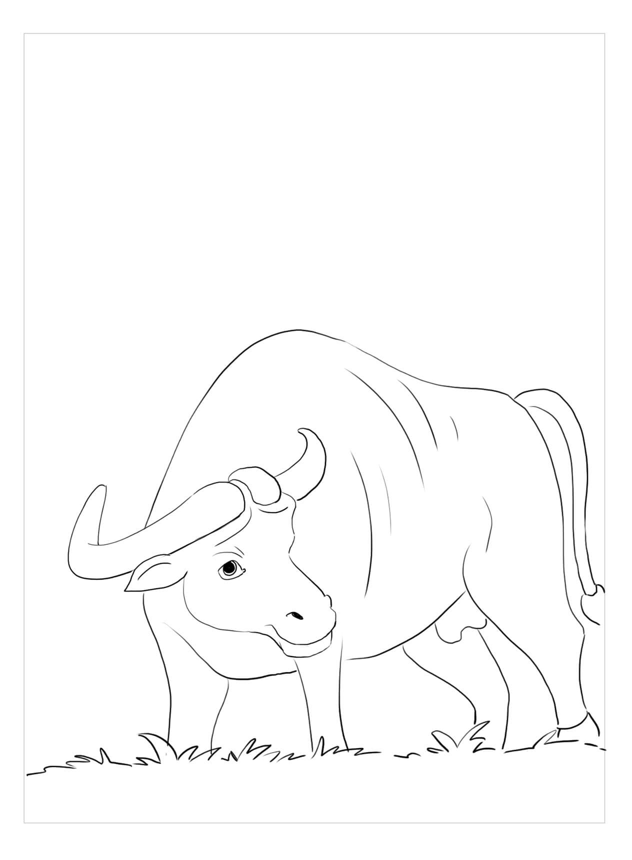 Búfalo con Hierba para colorir