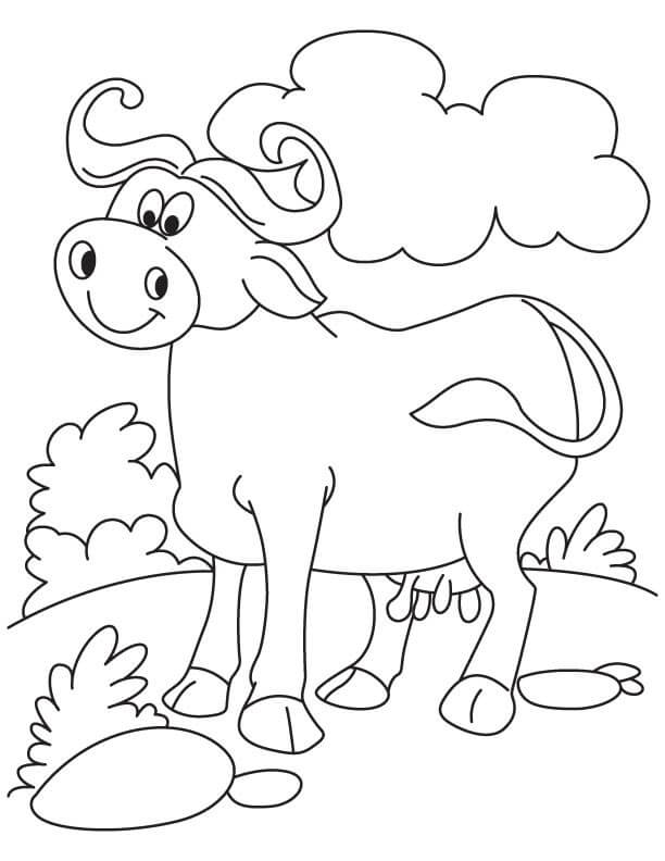 Dibujos de Búfalo con Roca para colorear