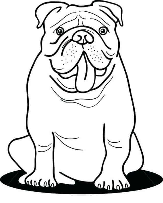 Dibujos de Bulldog Lindo para colorear