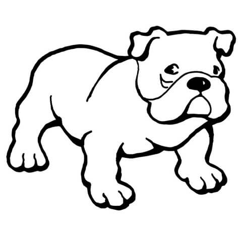 Dibujos de Bulldog Simple para colorear