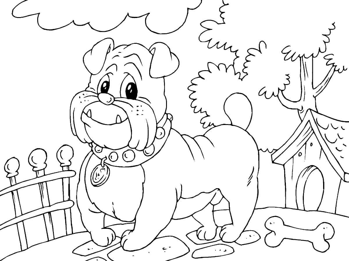 Bulldog de Dibujos Animados para colorir