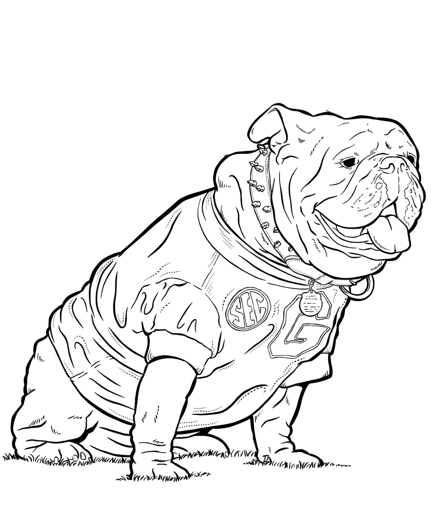 Dibujos de Bulldogs de Georgia para colorear