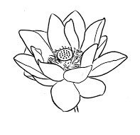 Dibujos de Básico Flor de Loto para colorear