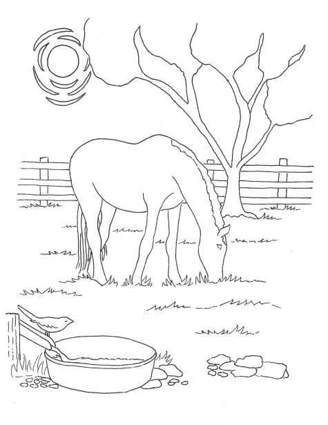 Dibujos de Caballo Comiendo Hierba en el Granero para colorear