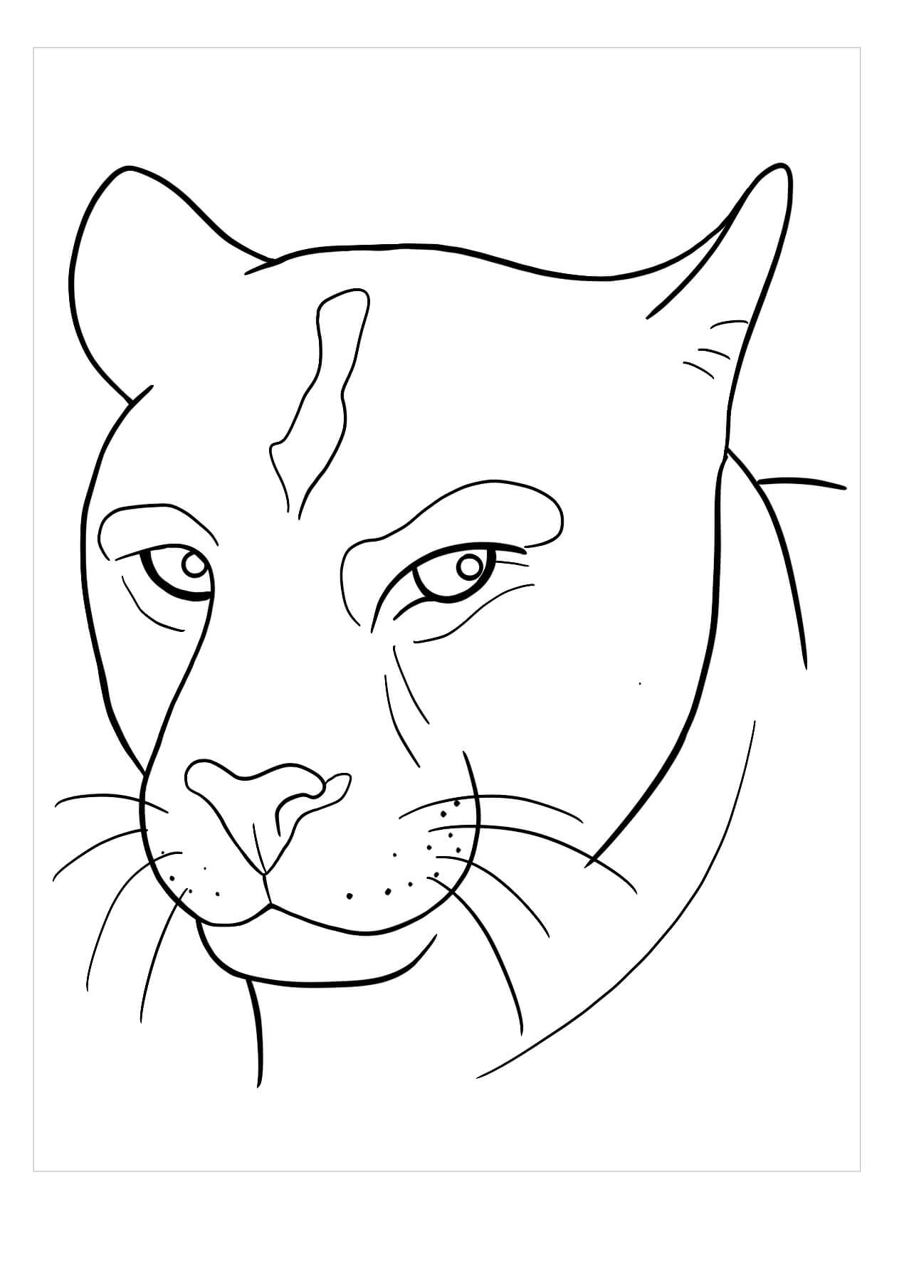 Dibujos de Cabeza de Puma para colorear
