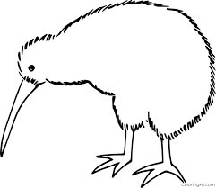 Cabeza de Pájaro kiwi Hacia Abajo para colorir