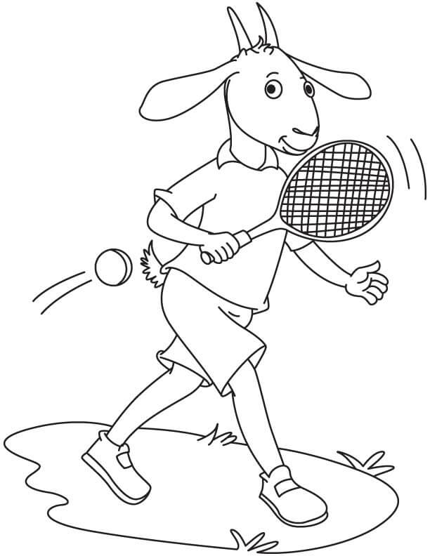 Cabra jugando al Tenis para colorir
