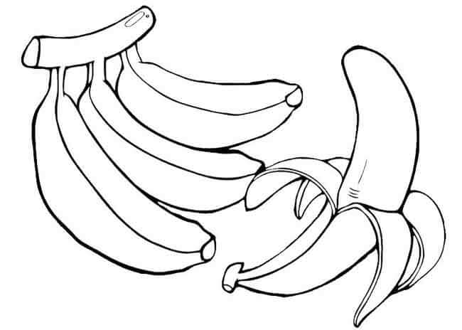 Dibujos de Cacho de Bananas e uma Banana Descascada para colorear