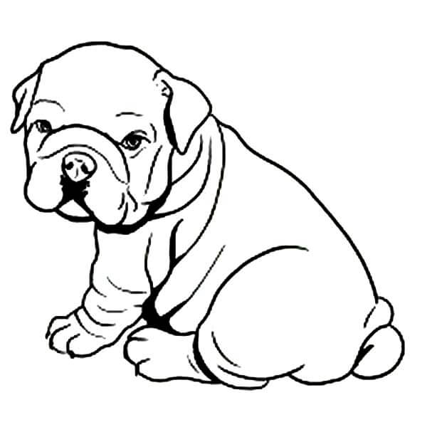 Dibujos de Cachorro Bulldog Gordo para colorear