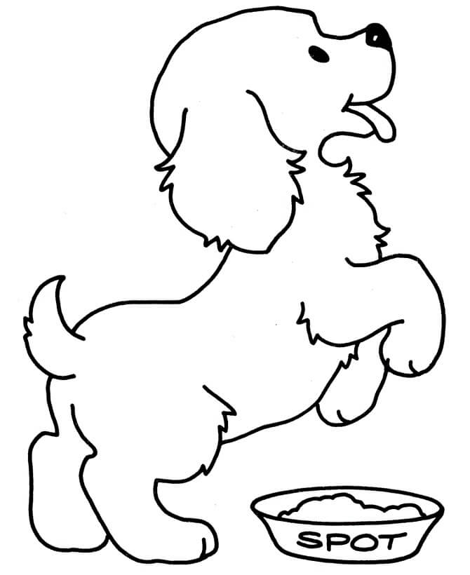 Dibujos de Cachorro y Comida para colorear