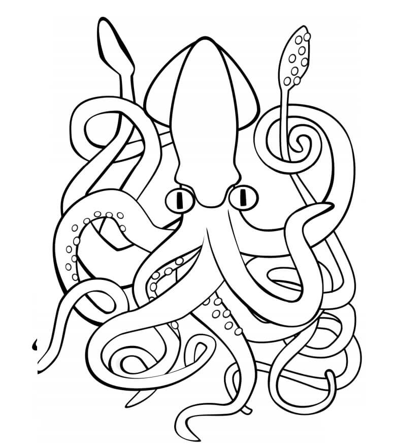 Dibujos de Calamar Gigante para colorear