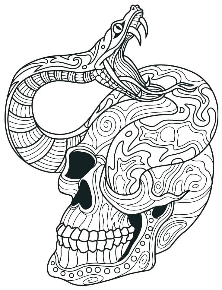 Dibujos de Calavera con Mandalas de Serpiente para colorear