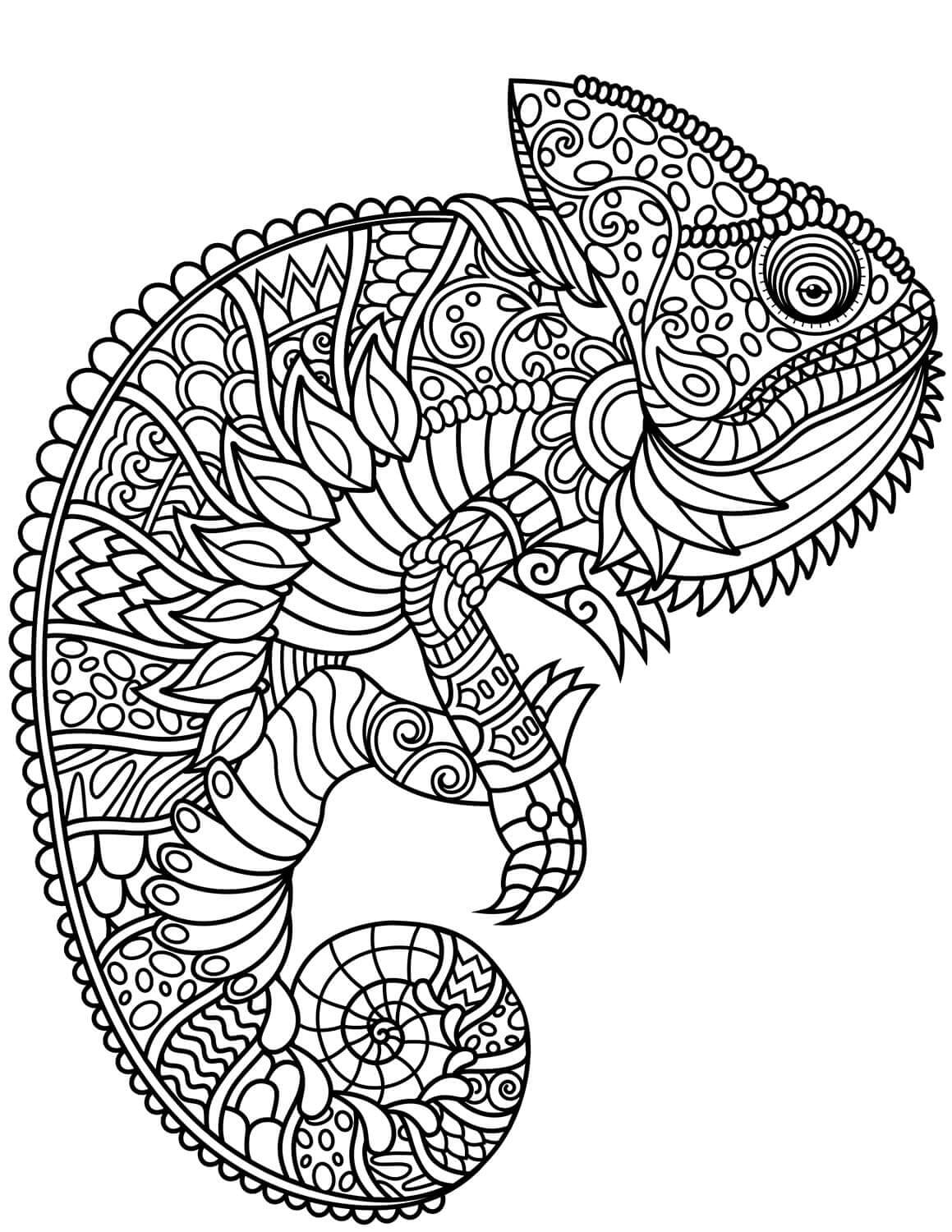 Camaleón Zentangle para colorir