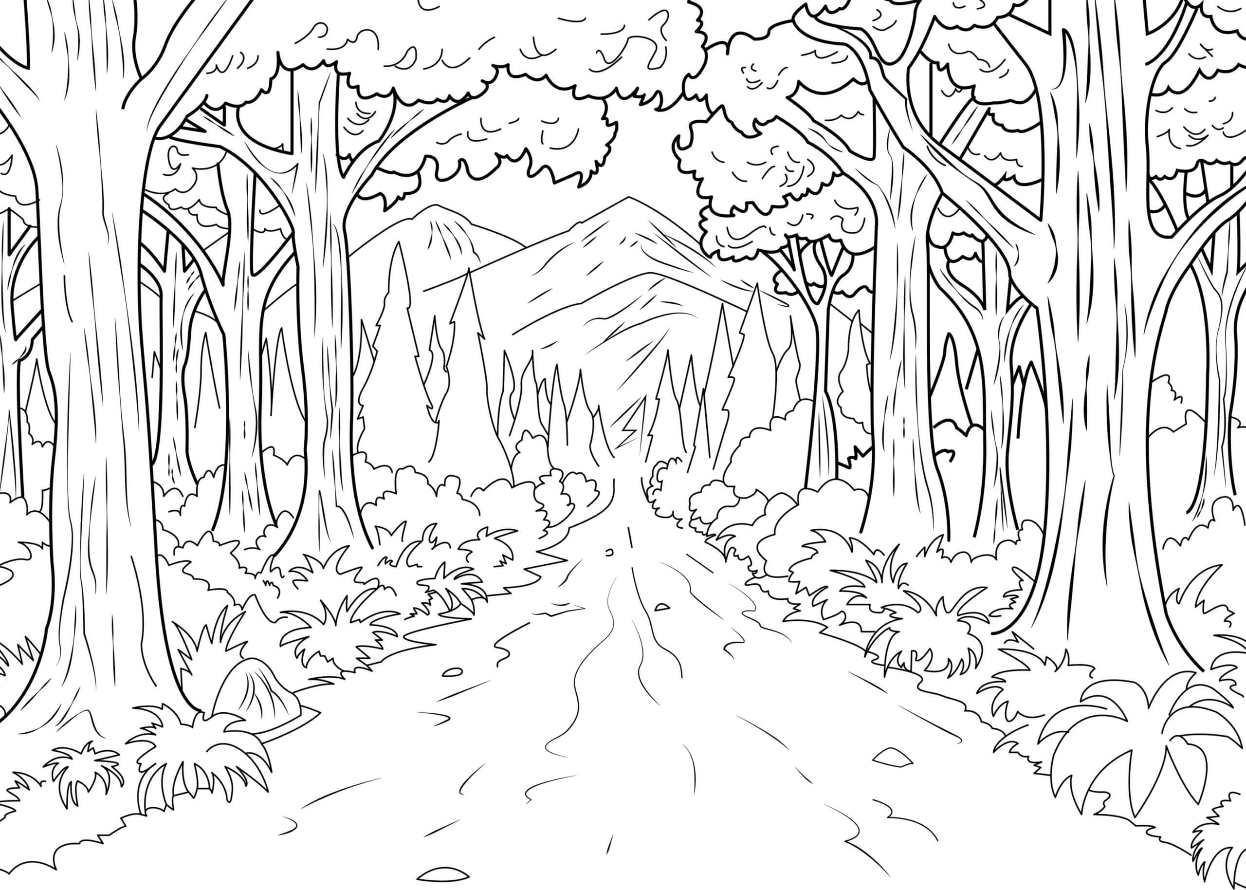 Camino Natural en el Bosque para colorir