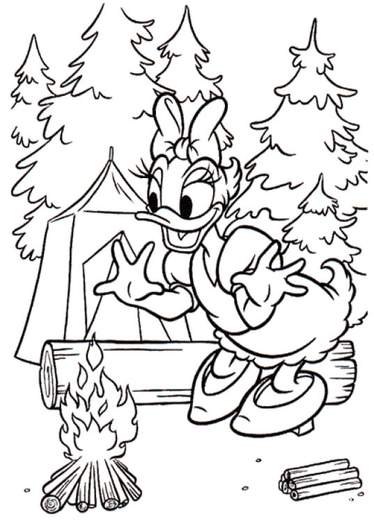 Dibujos de Camping de Daisy Duck para colorear